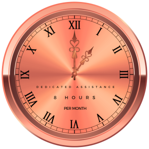 8 hours per month dedicated support package