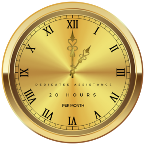 20 hours per month dedicated support package